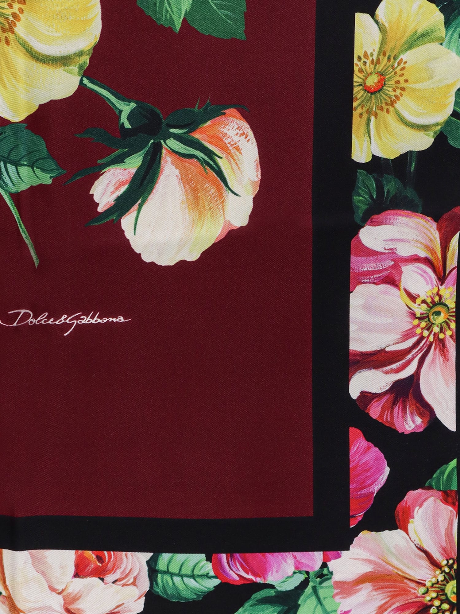 Shop Dolce & Gabbana Foulard In Camelia F.bordeaux