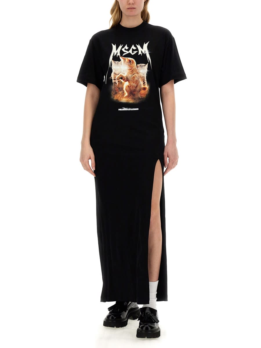 Shop Msgm Dress With Print In Black