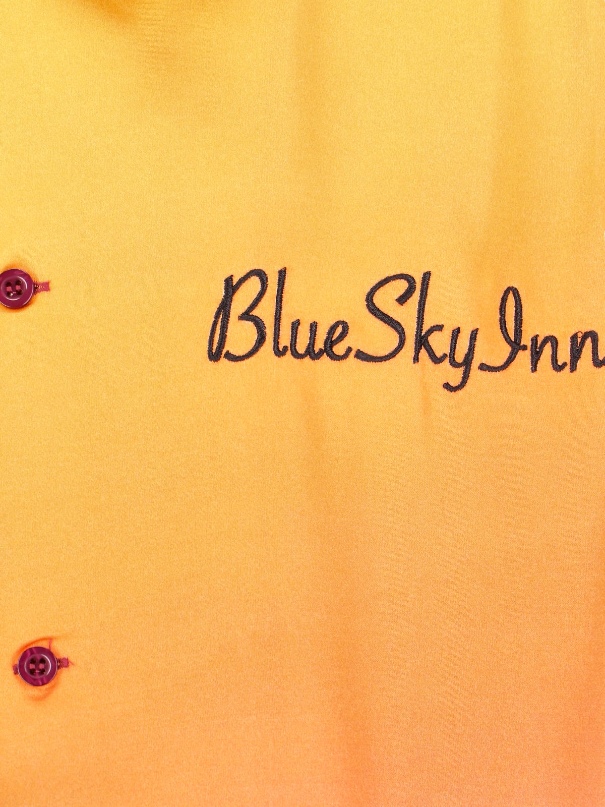 Shop Blue Sky Inn Printed Shirt In Brown
