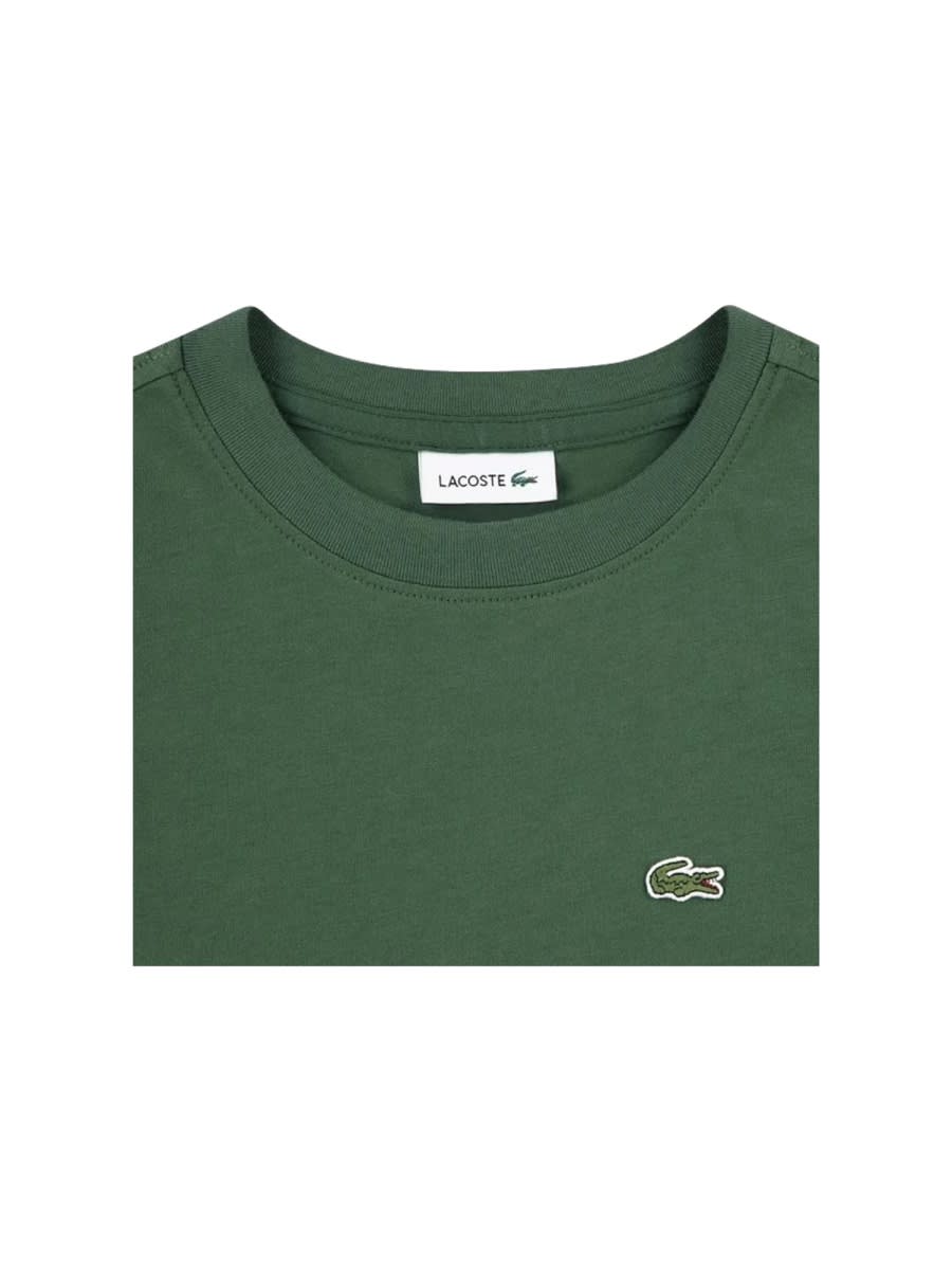Lacoste T-shirt In Green