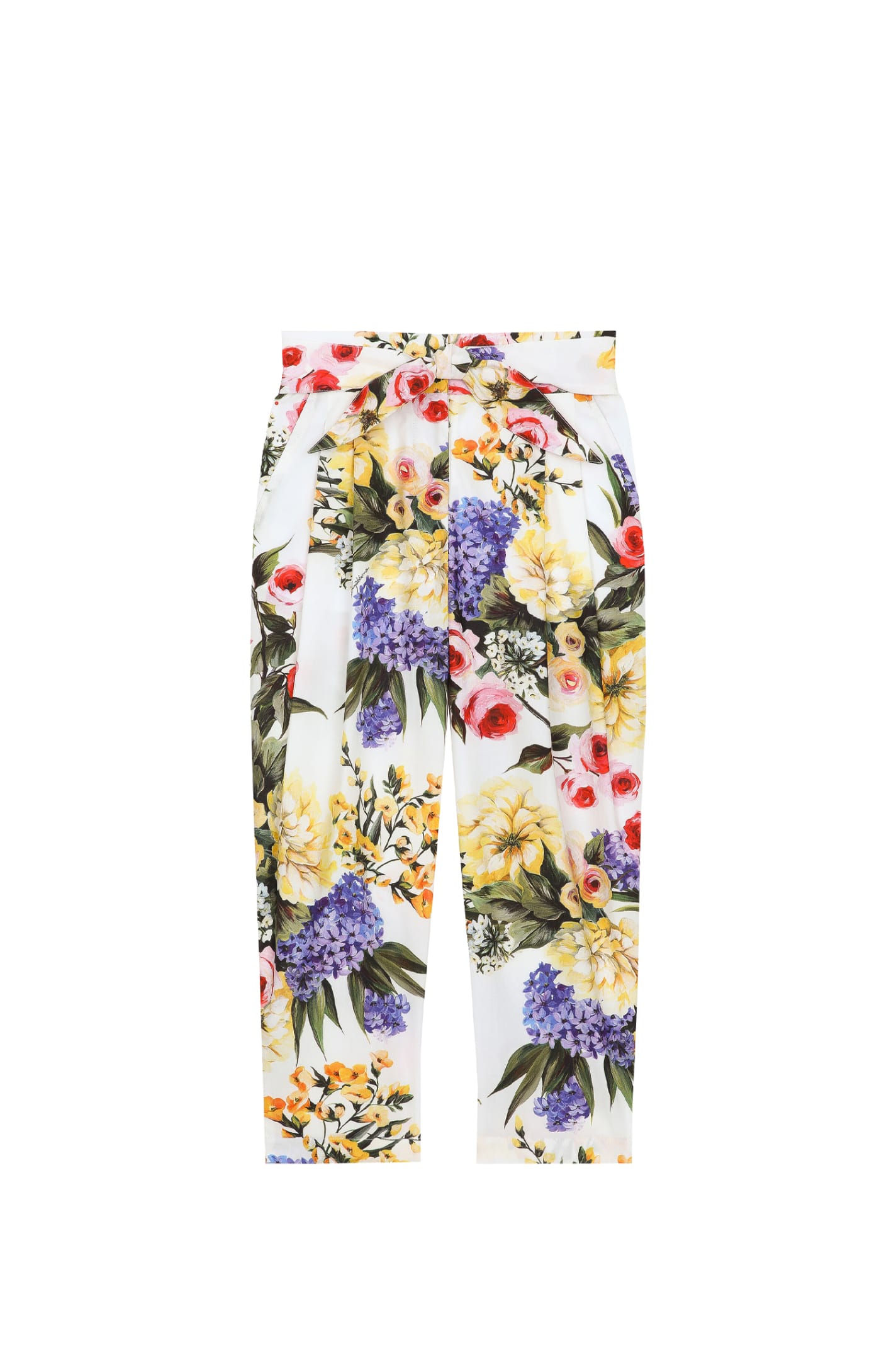 Shop Dolce & Gabbana Garden Print Poplin Pants In Multicolor