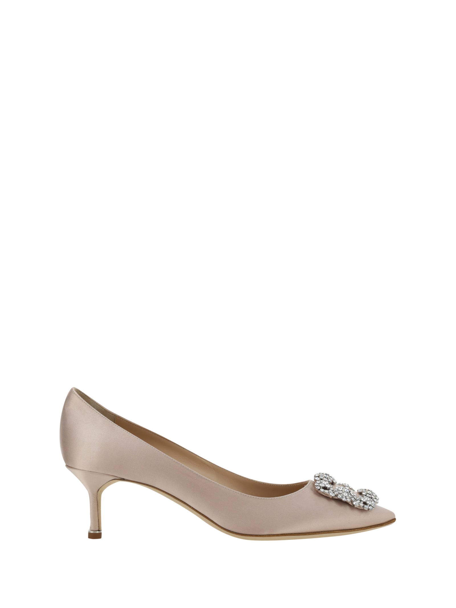 Shop Manolo Blahnik Hangisi Pumps In Dnud