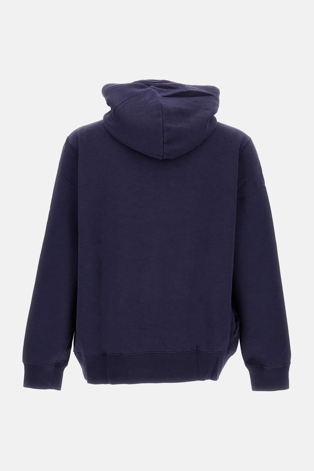 Polo Ralph Lauren Hooded Sweatshirt With Graphic Print And Pocket In Blue