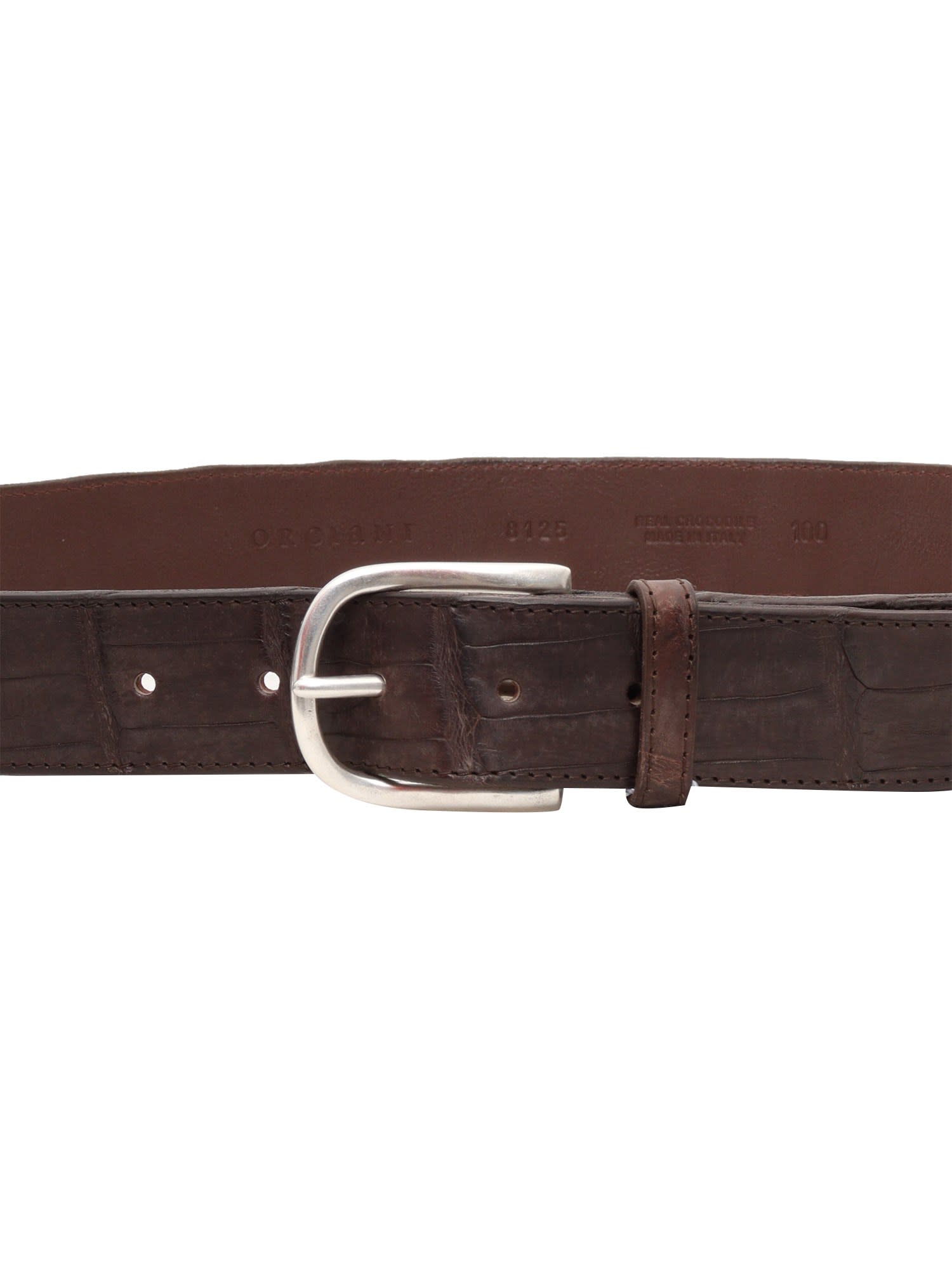 Shop Orciani Belt In Brown