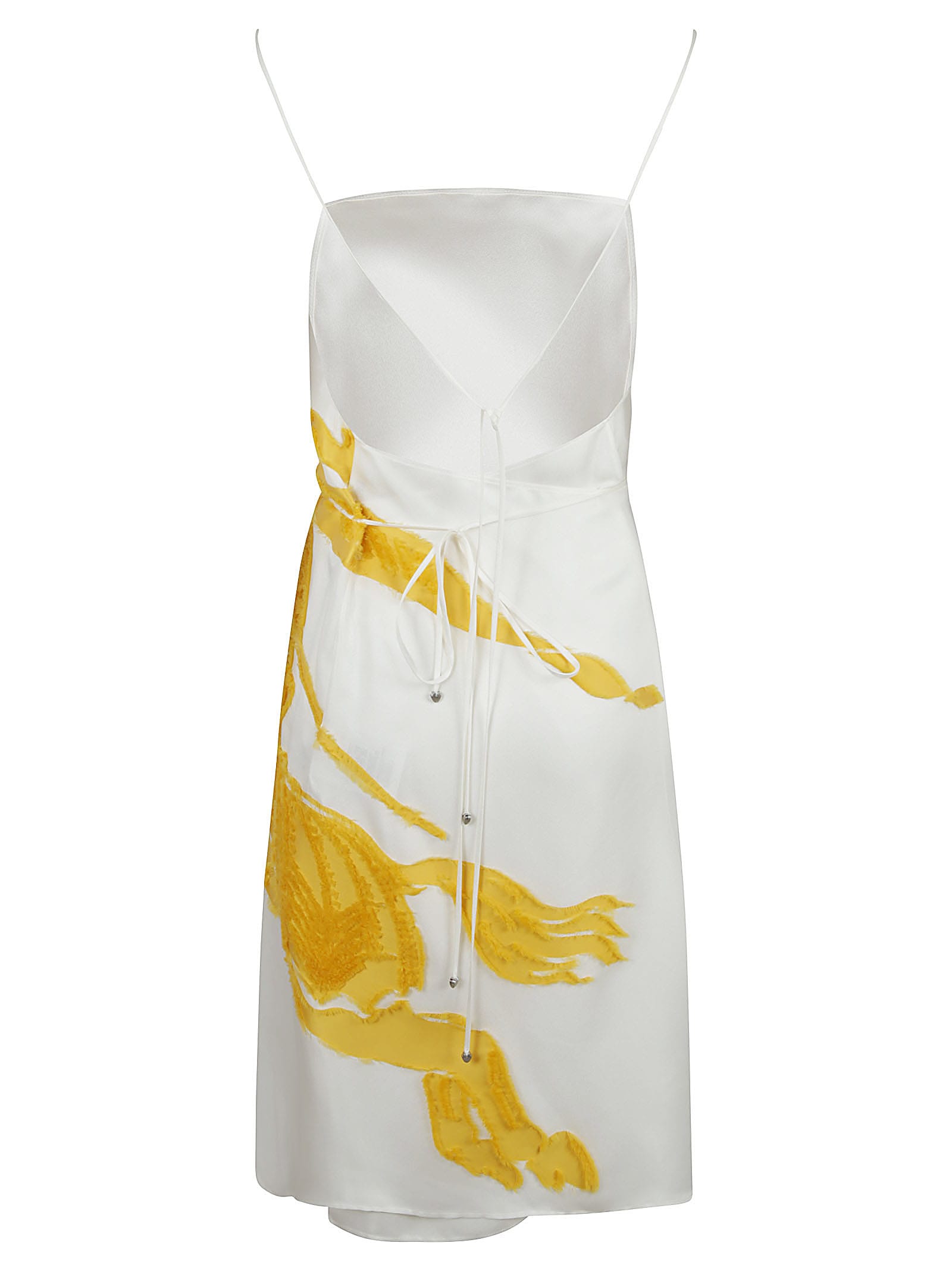 Shop Burberry Sleeveless Printed Dress In Sunflower Ip Pattern