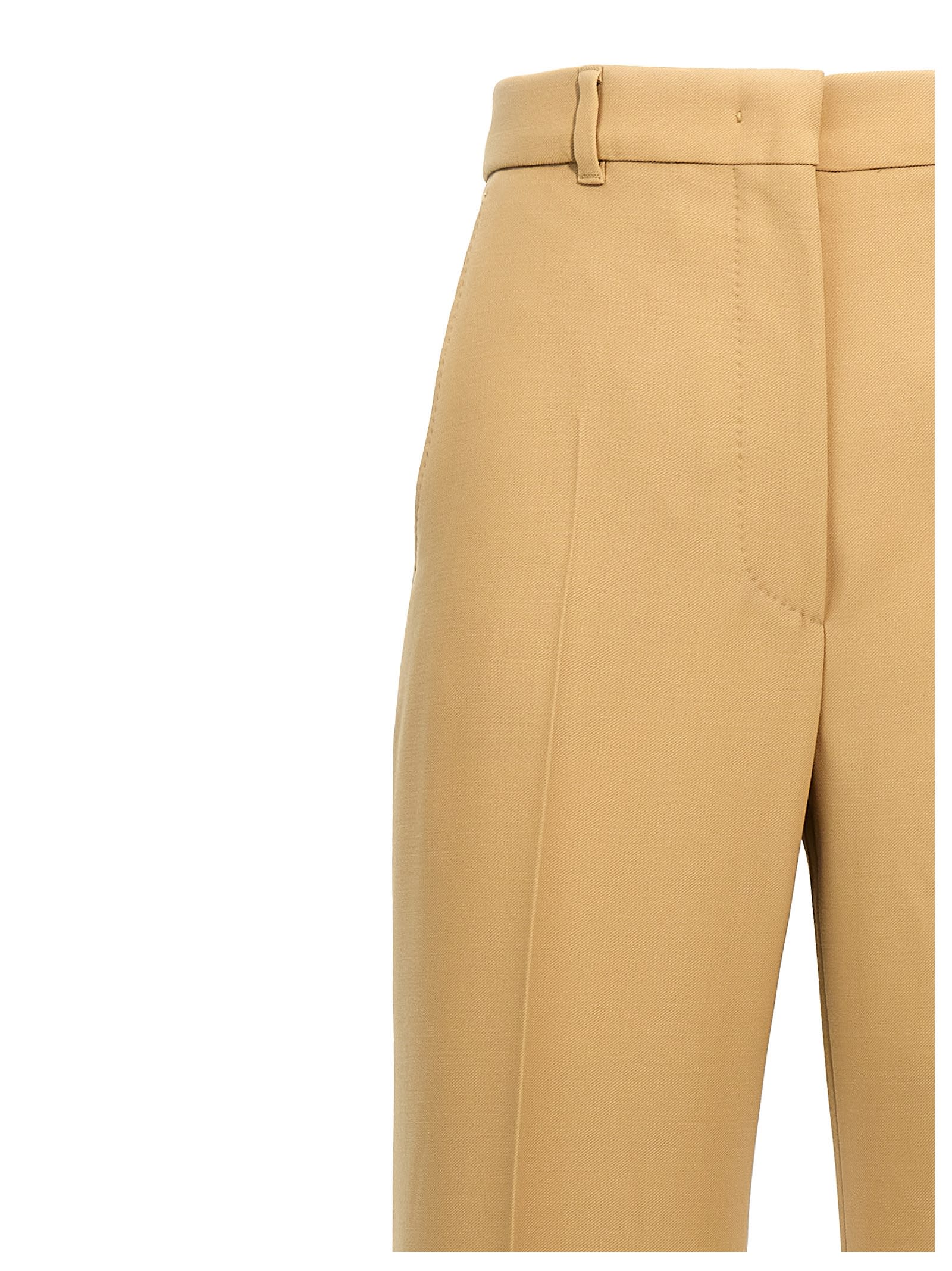 Max Mara Quasar Pants Beige In Beige
