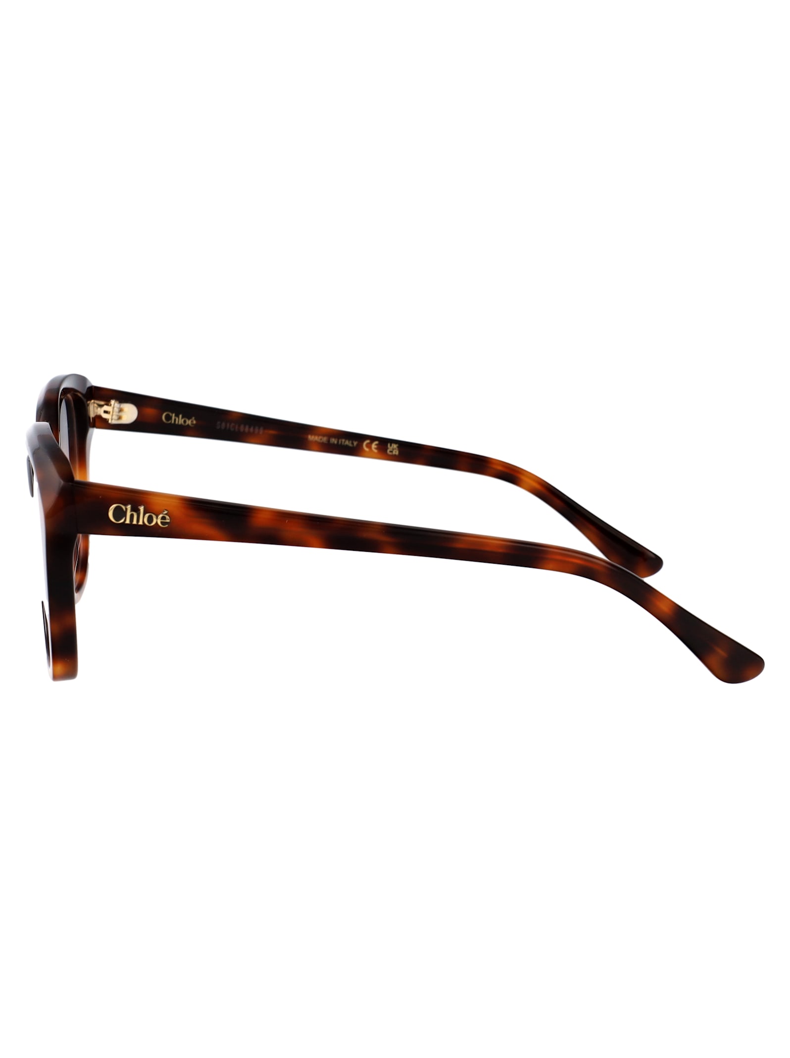 Chloé Ch0293o Glasses