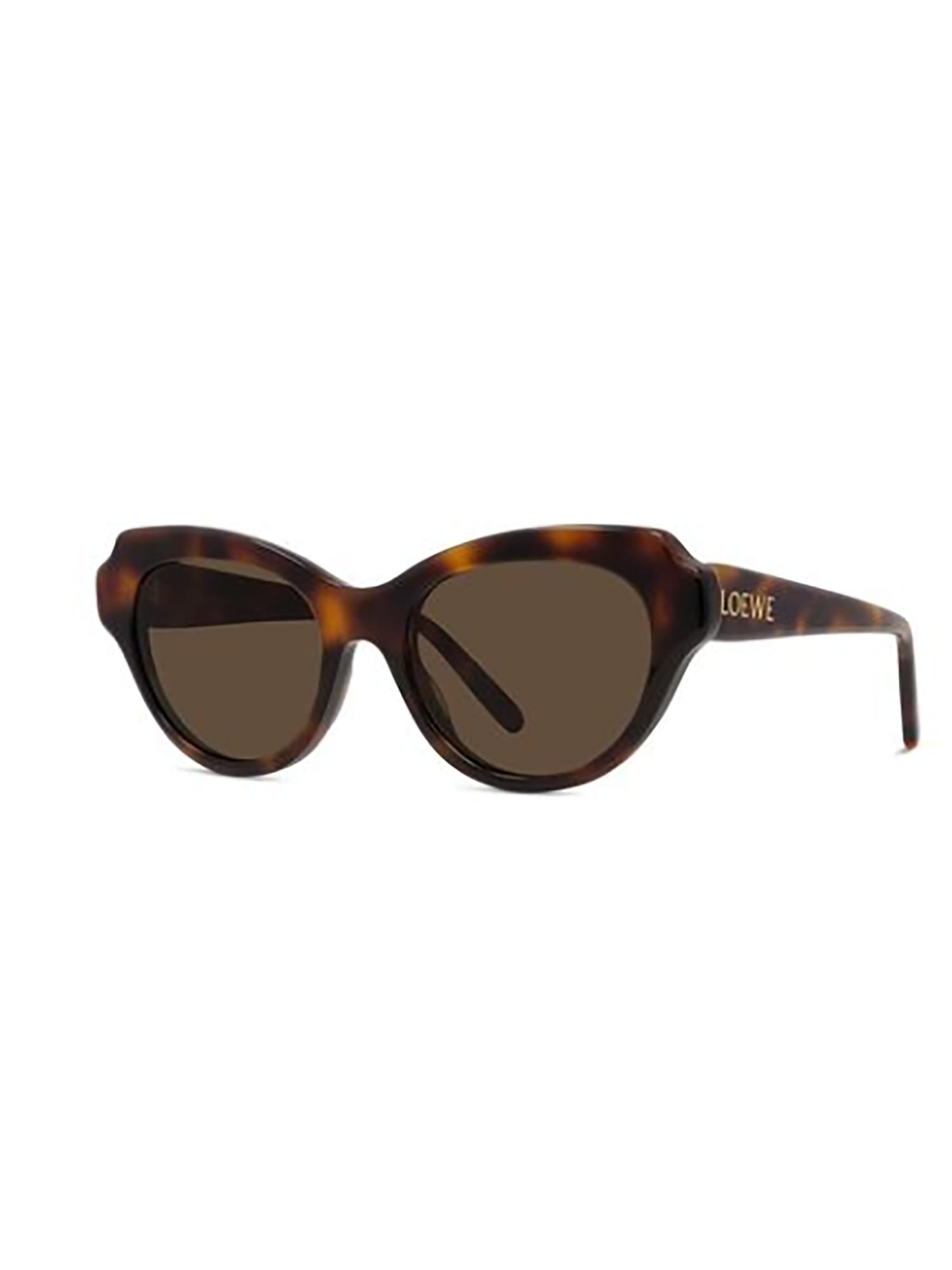 Loewe Lw40178i Sunglasses In Multi