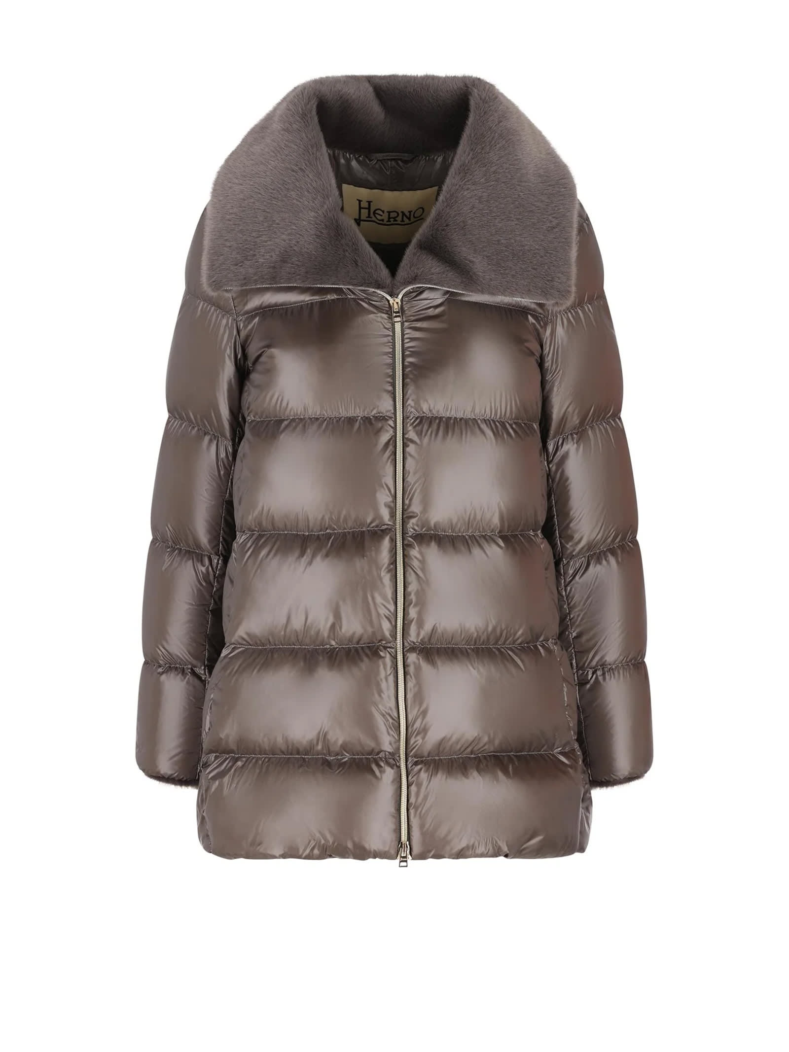 Herno Coats Grey In Gray