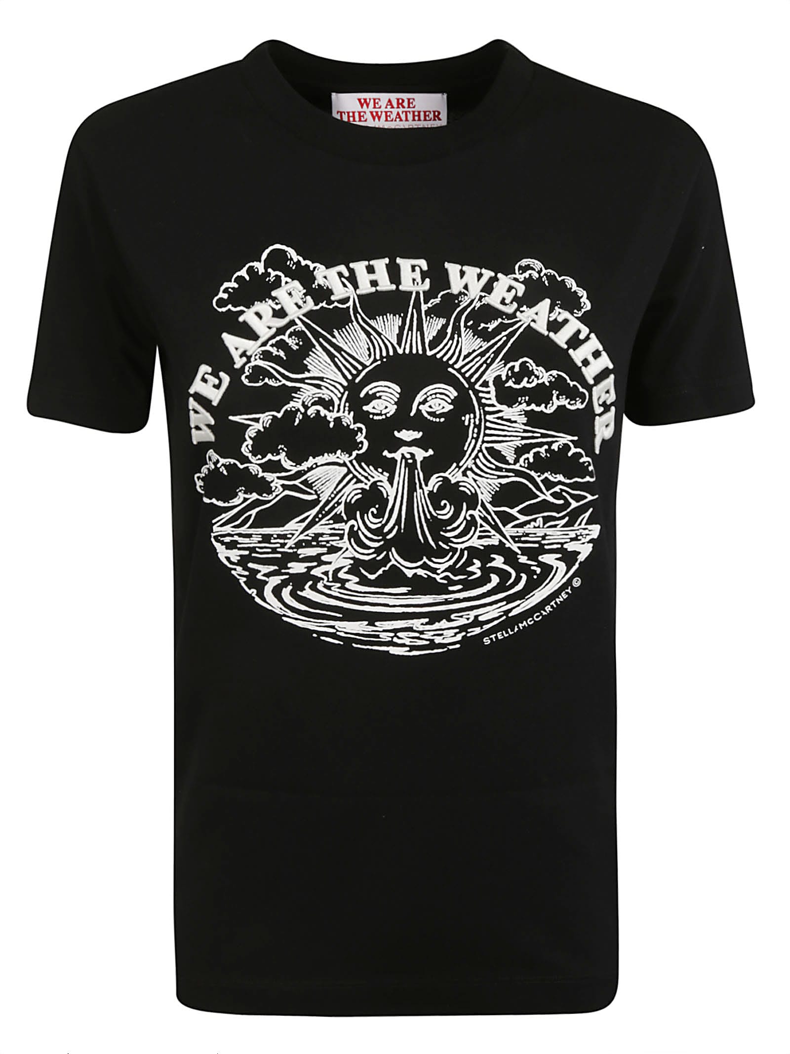 STELLA MCCARTNEY WE ARE THE WEATHER T-SHIRT,11228482