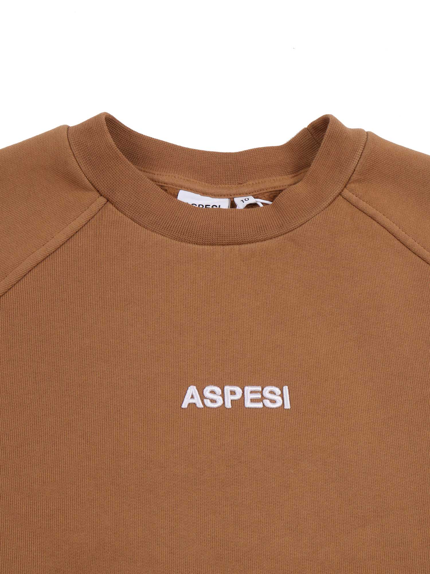 Aspesi Sweater In Brown