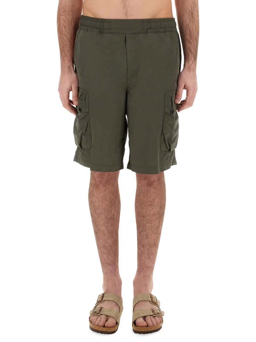 Short zander