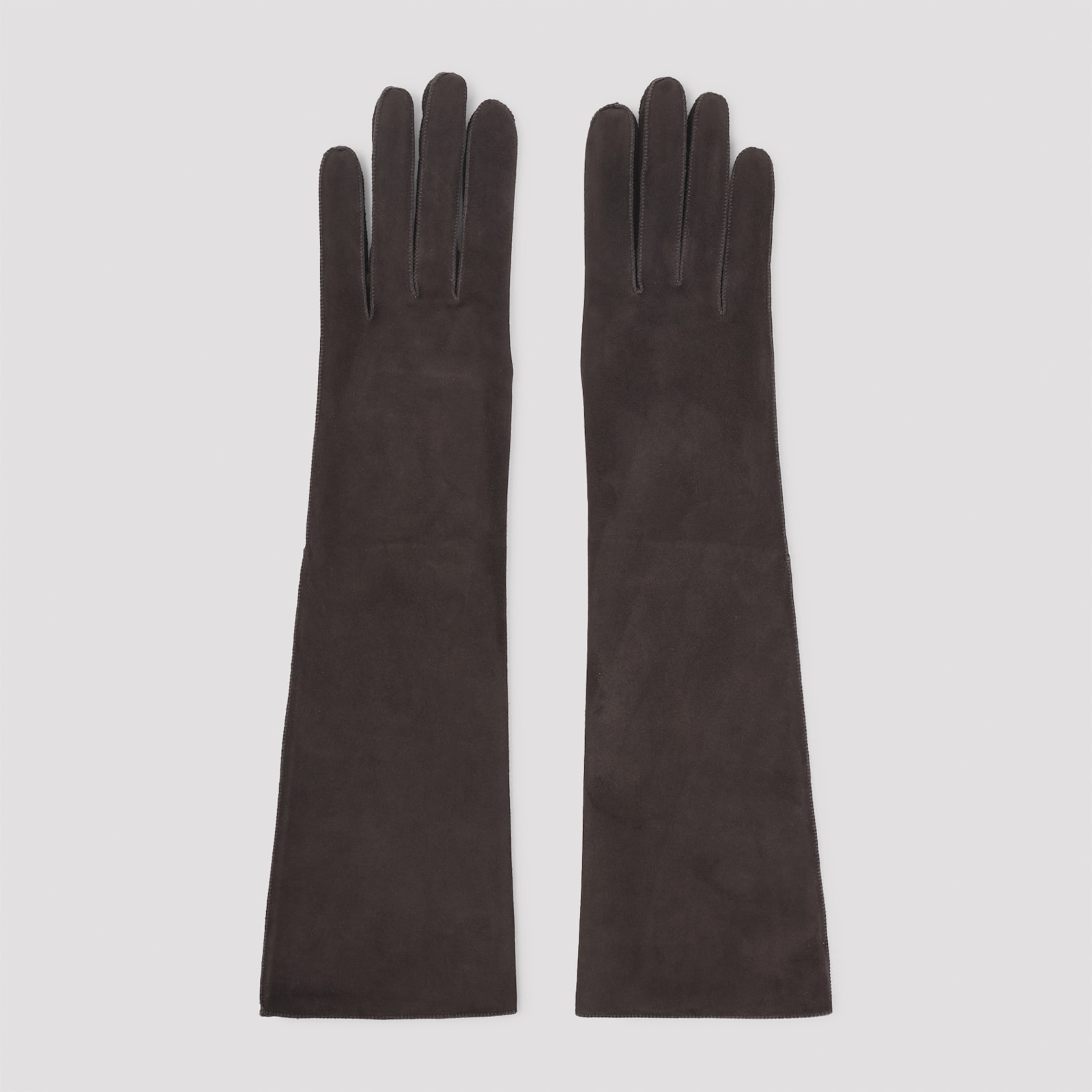 Lanvin Long Slim Gloves