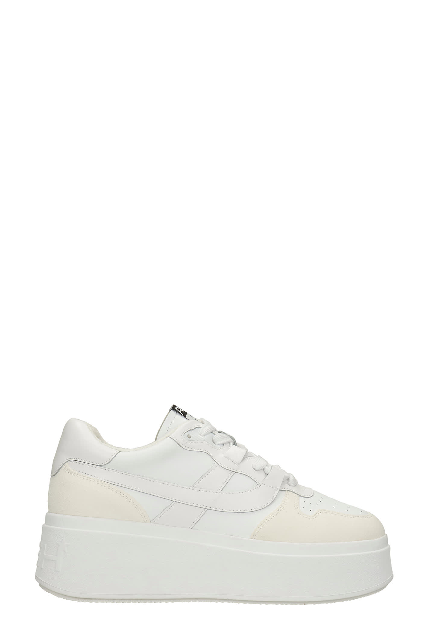 Ash Match Sneakers In White Leather