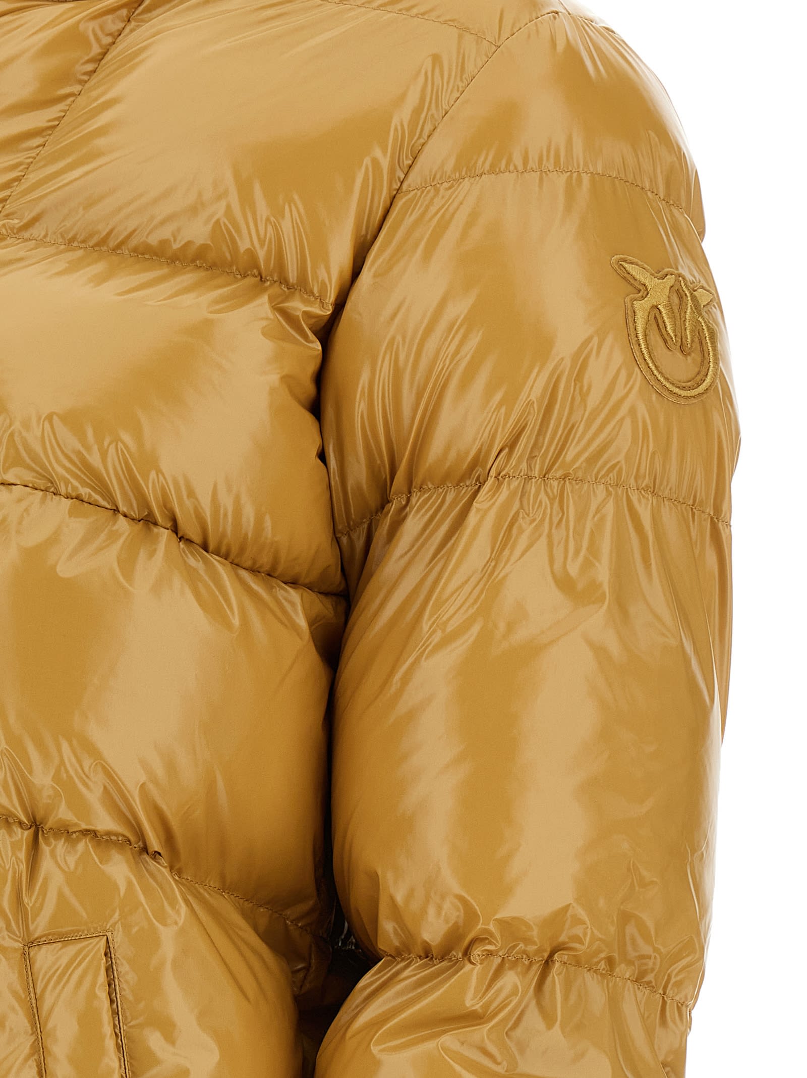 Pinko Eleodoro Down Jacket In Yellow