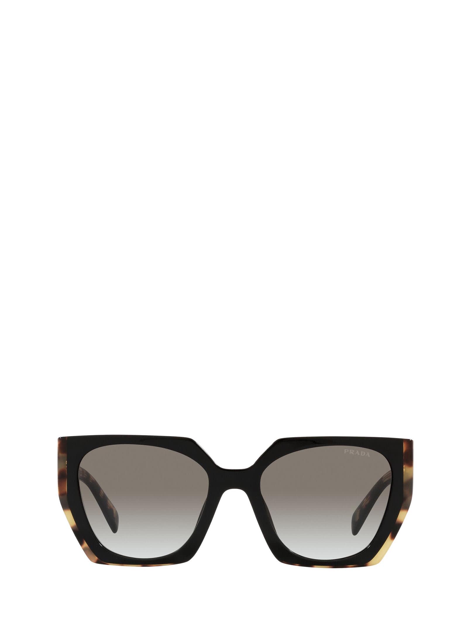 Pr 15ws Black/ Medium Tortoise Sunglasses