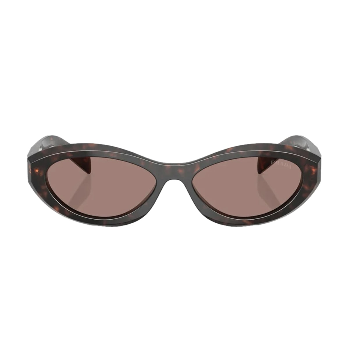 Prada Pr26zs Symbole 17n60b Havana Sunglasses