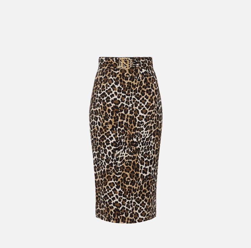 Shop Elisabetta Franchi Gonna In Animalier