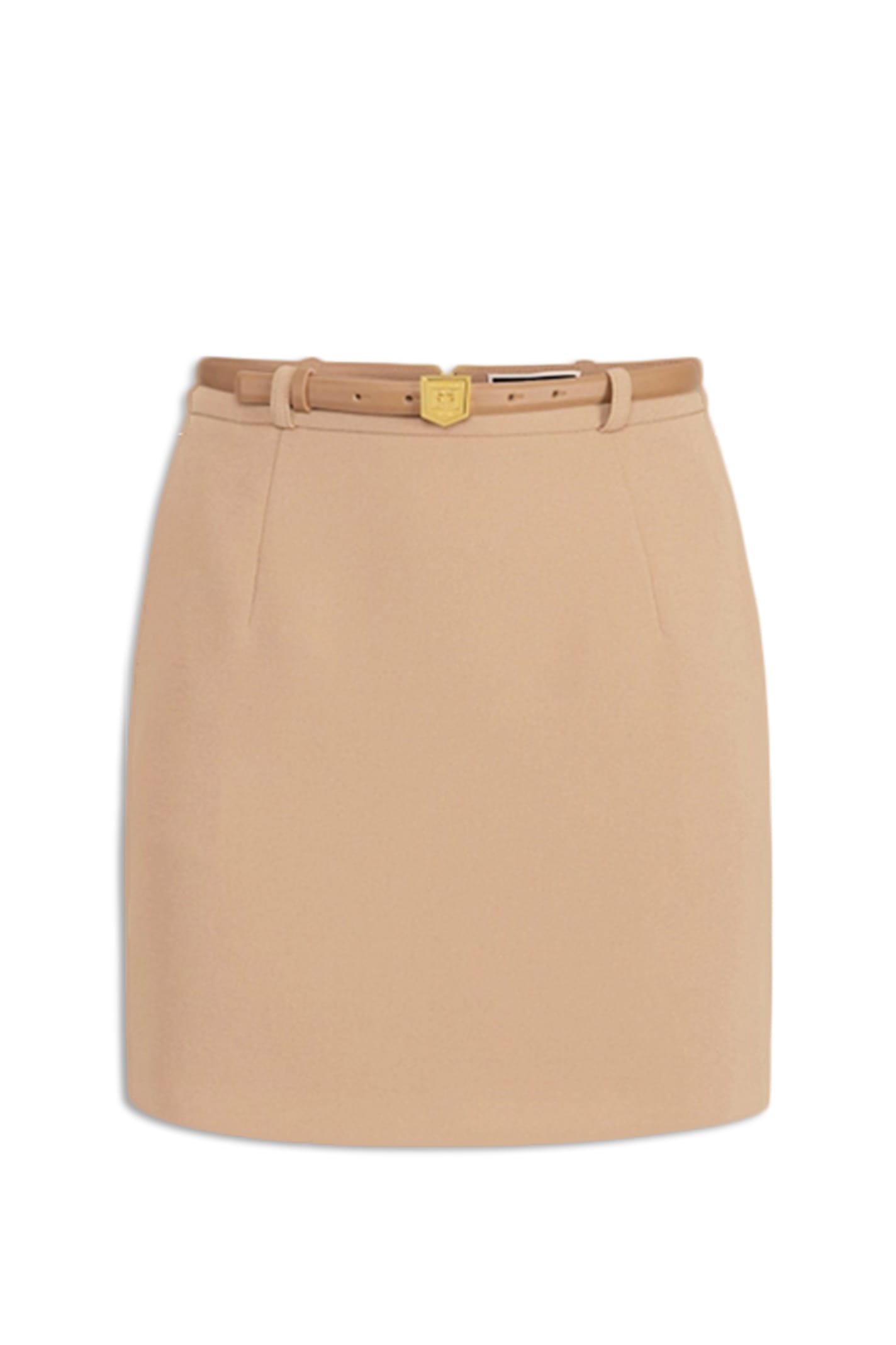 Shop Elisabetta Franchi Skirt In Camel