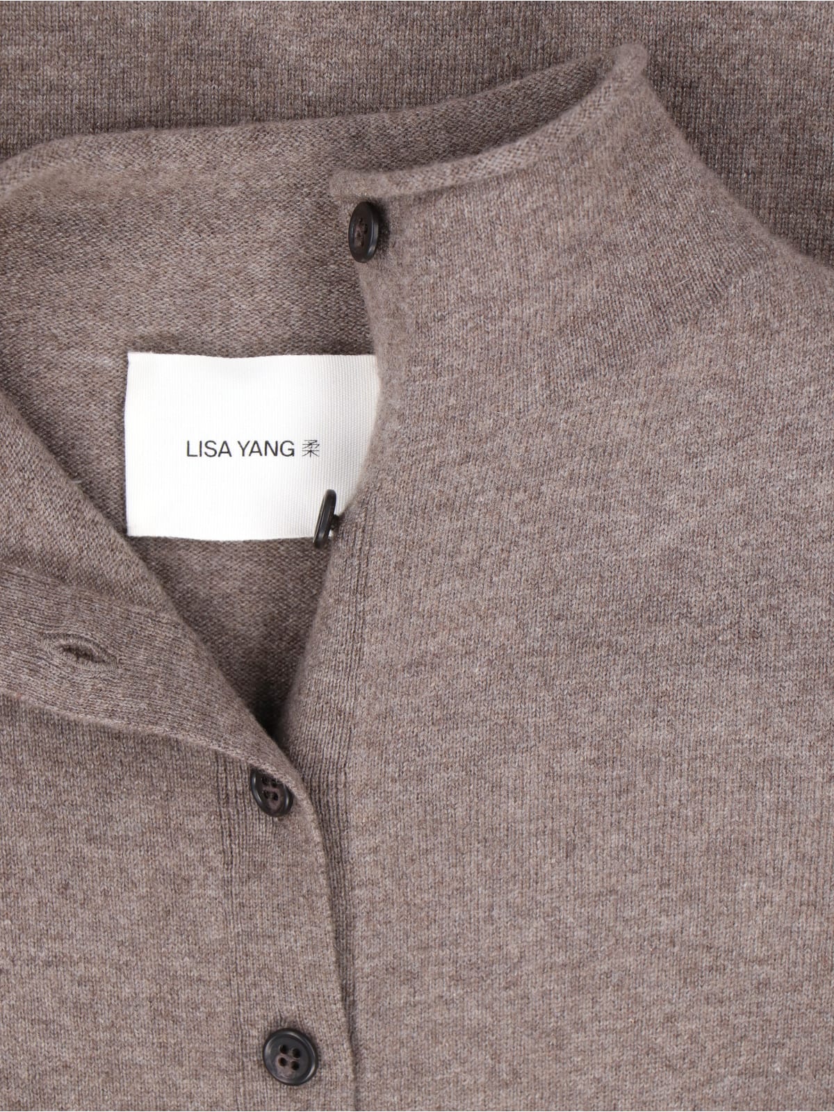Lisa Yang Cashmere Cardigan In Brown