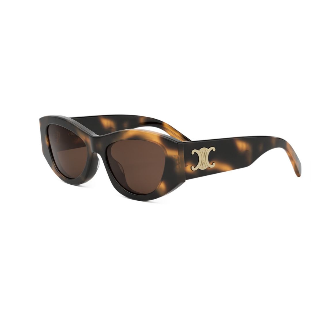 Celine Triomphe Cl40308u 53e In Brown