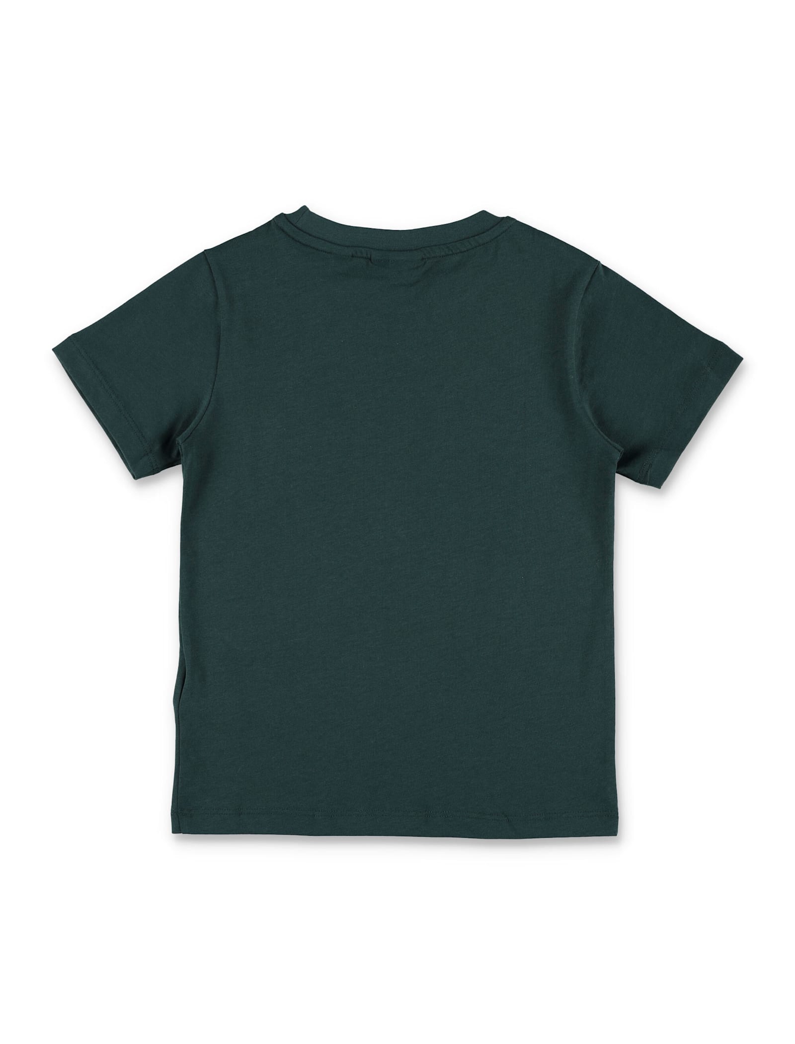 Lacoste Kids Organic Cotton T-shirt In Green