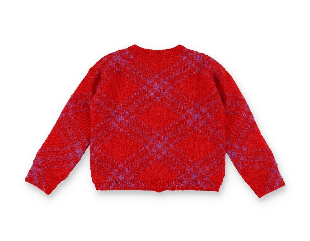 Burberry Checkered Buttoned Cardigan In Rosso