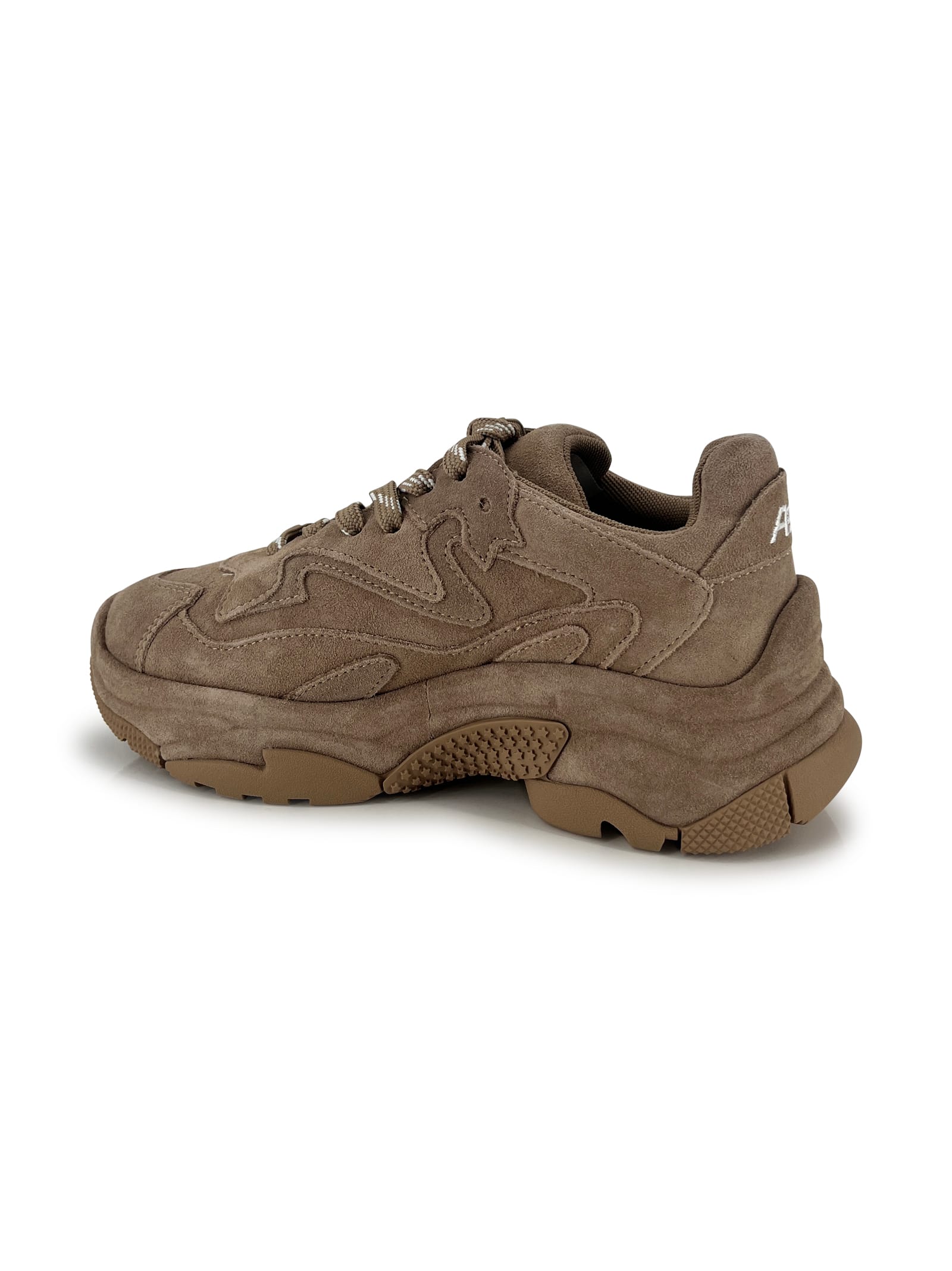Ash Sneakers Addict Bis Noisette In Brown