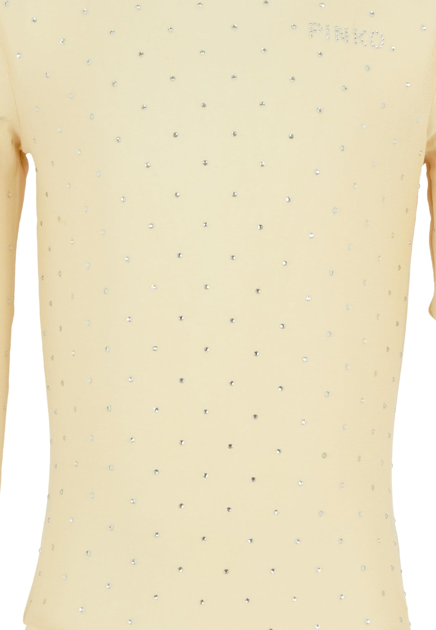 Pinko Crystal-embellishment Long-sleeve Bodysuit In Neutral