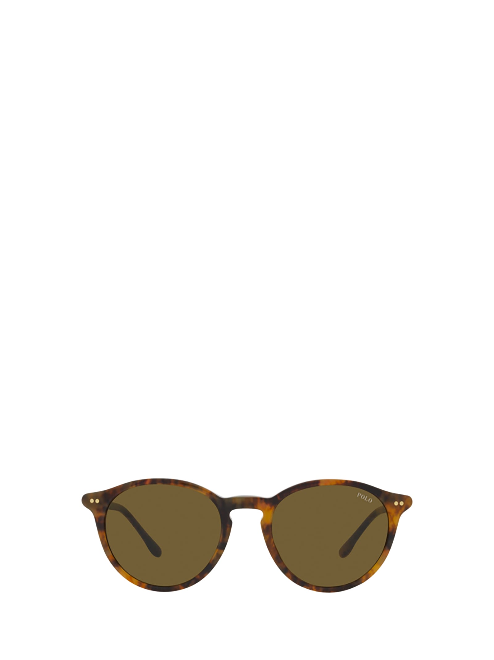 Shop Polo Ralph Lauren Ph4193 Shiny Beige Tortoise Sunglasses
