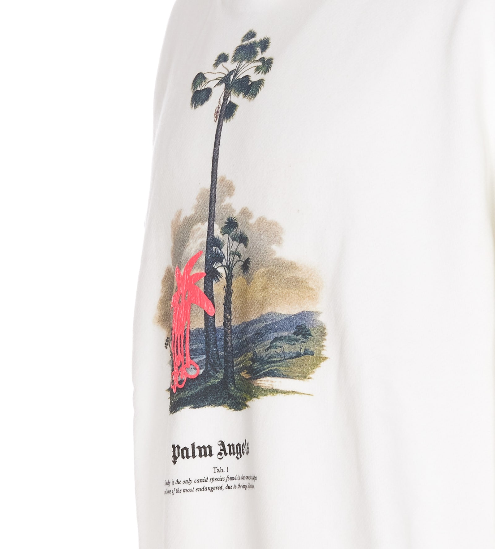 Palm Angels Douby Lost In Amazonia Hoodie In White