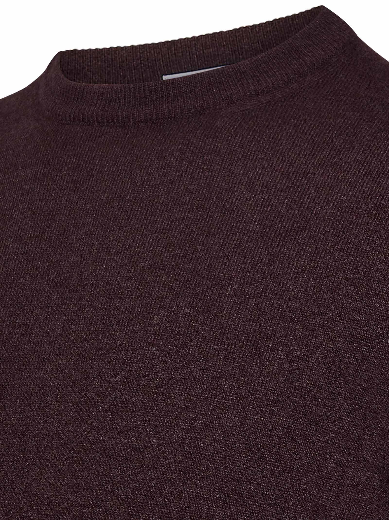 Shop Malo Sweater In Bordeaux