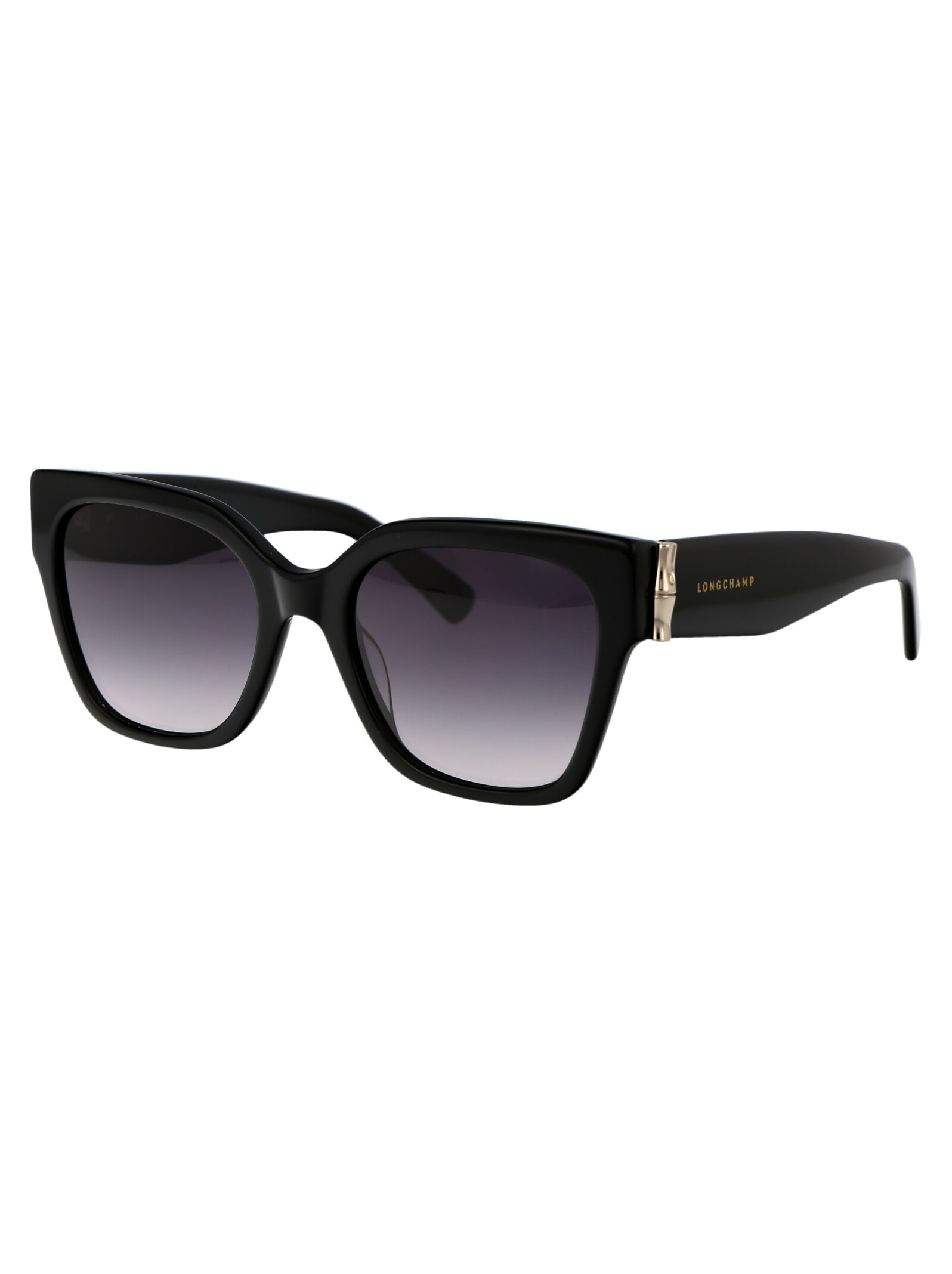 Shop Longchamp Lo732s Sunglasses In 001 Black