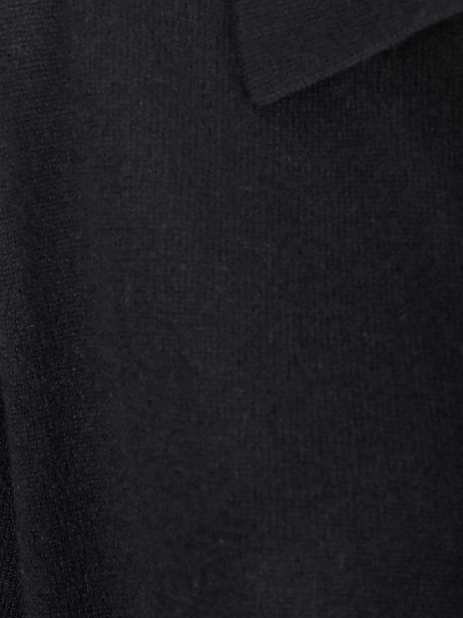 Lisa Yang Polo-neck Cashmere Sweater In Black