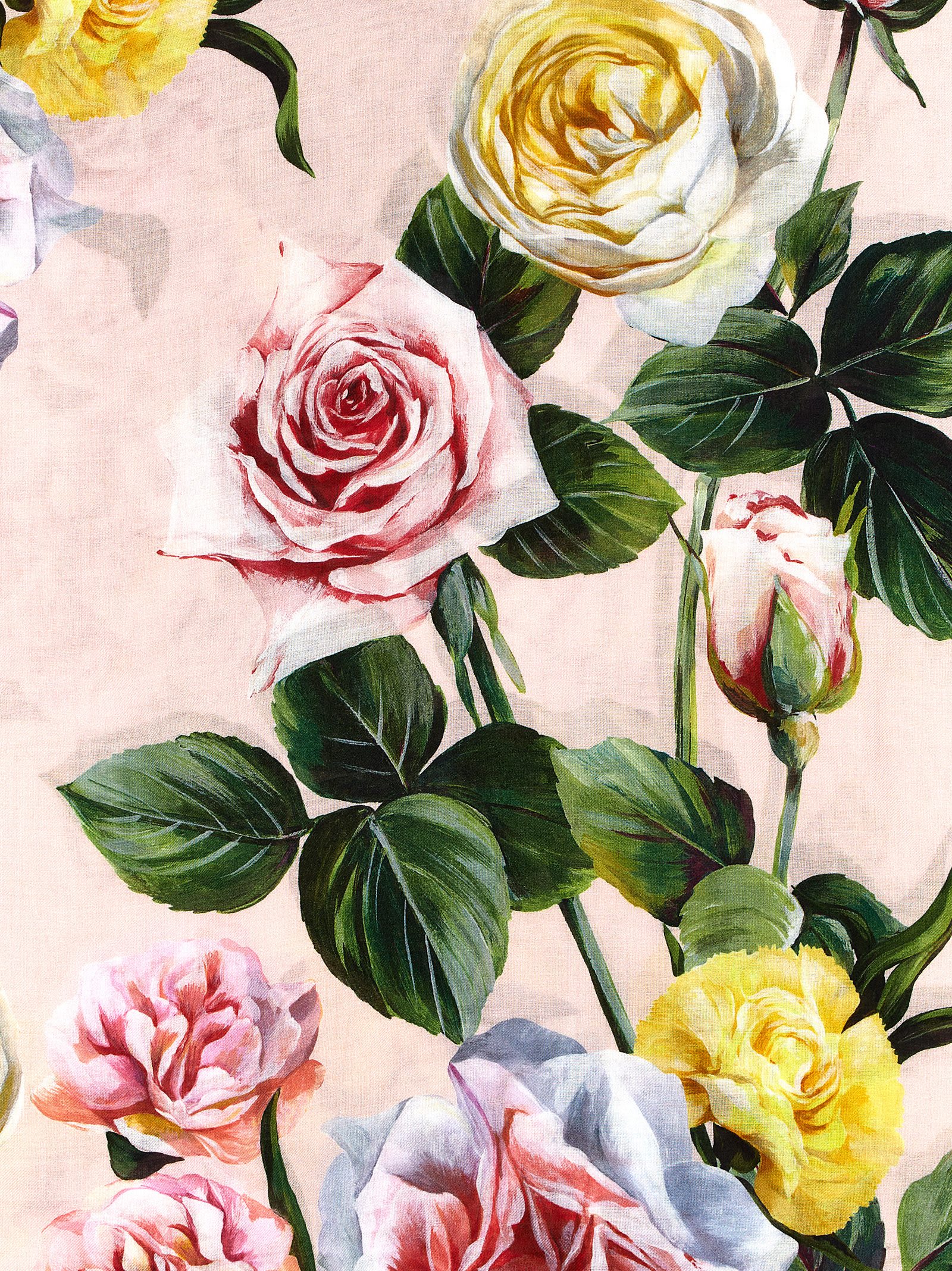 Dolce & Gabbana Floral Print Silk Scarf Square Shape In Multicolor
