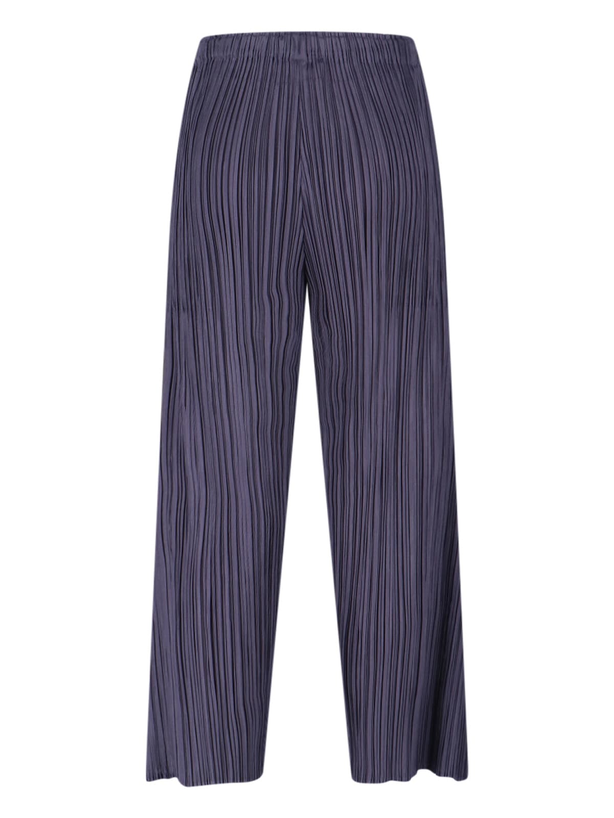 Issey Miyake Pleated Pants In Gray