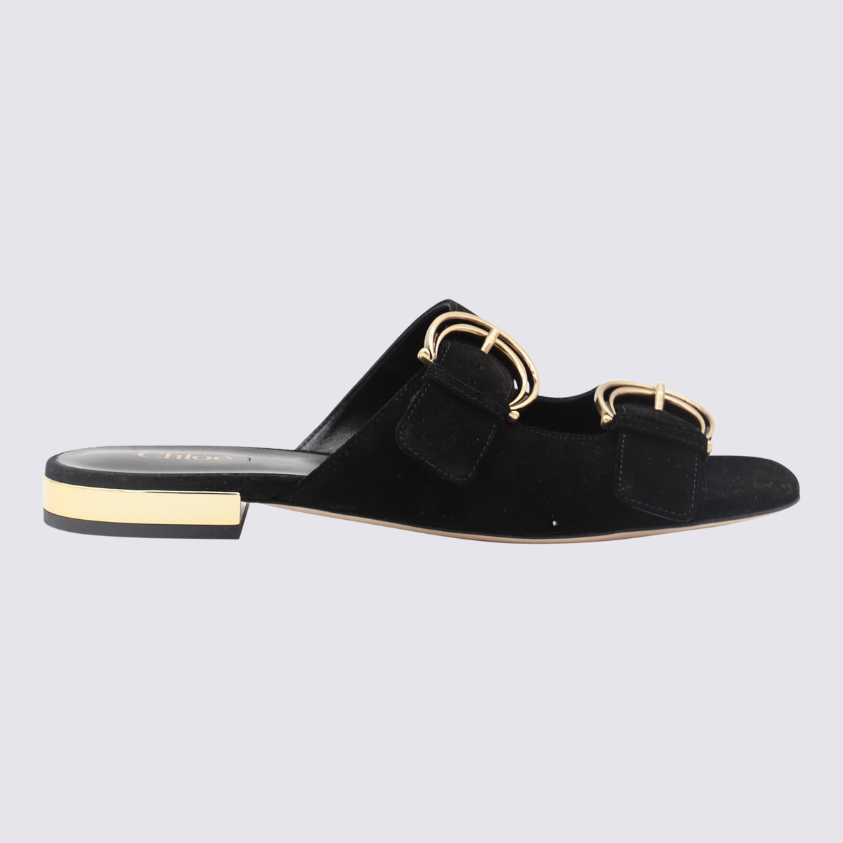 Chloé Mules Alizè Femme Noir Taille 36 100% Peau De Chèvre In Black
