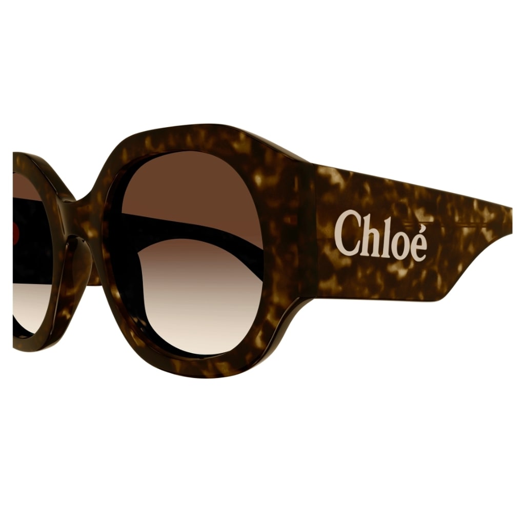 Shop Chloé Ch0234s 002 Sunglasses