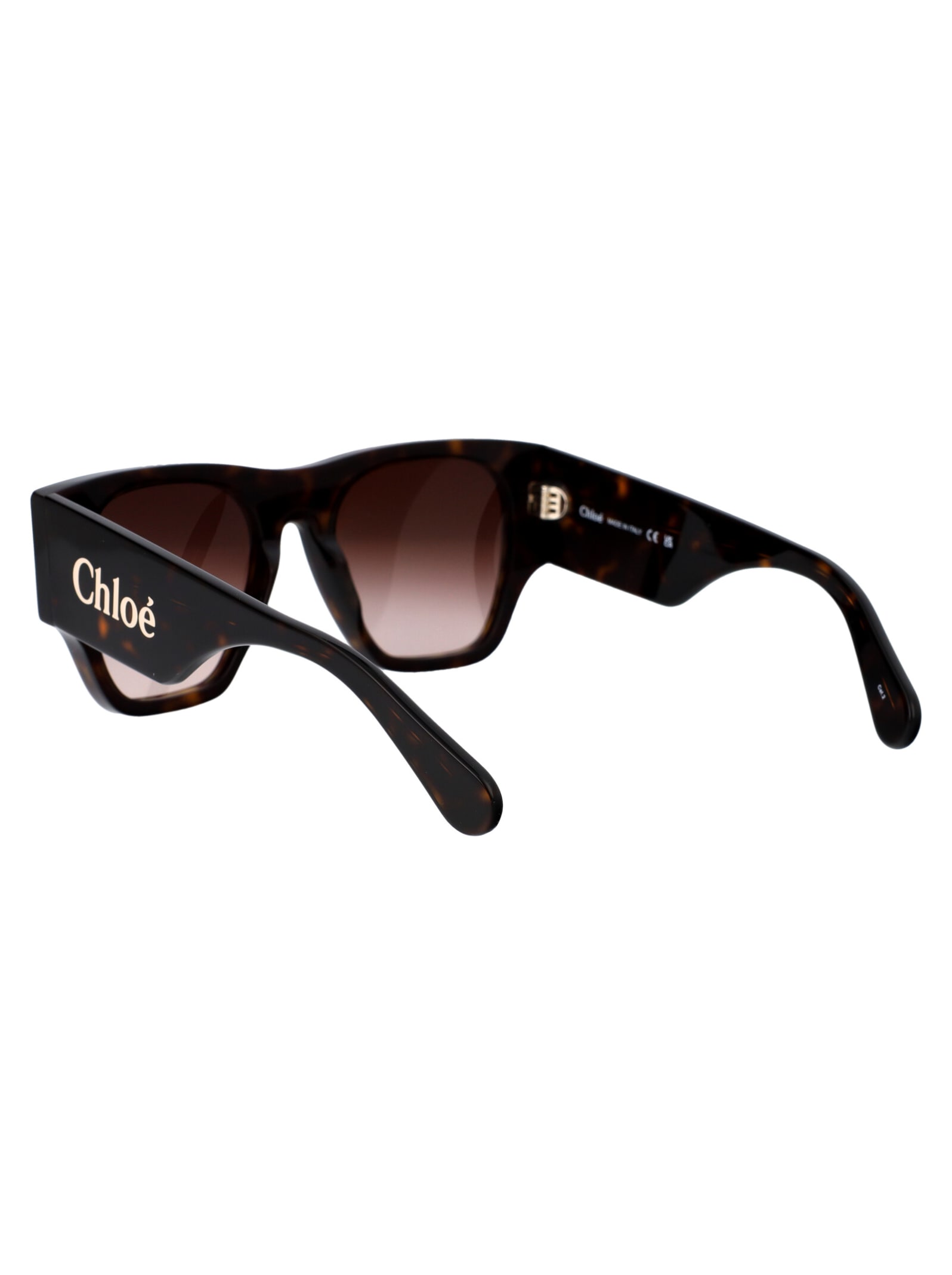 Shop Chloé Ch0233s Sunglasses In 002 Havana Havana Brown