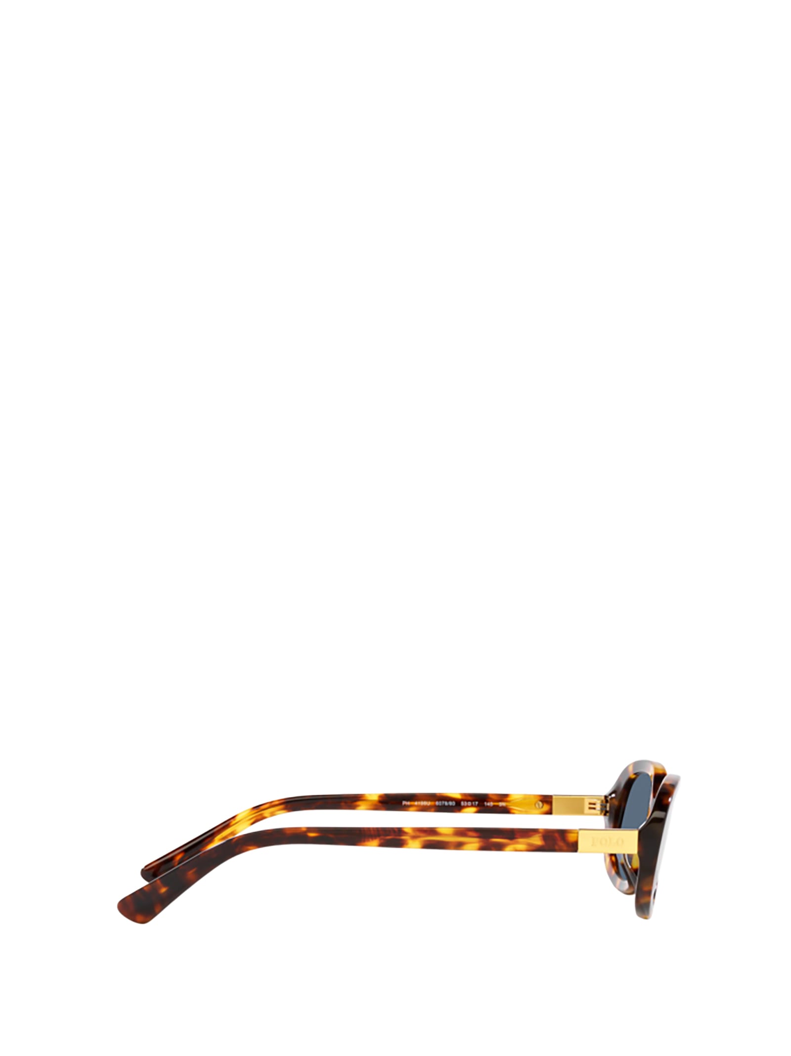Shop Polo Ralph Lauren Ph4198u Shiny Havana Sunglasses