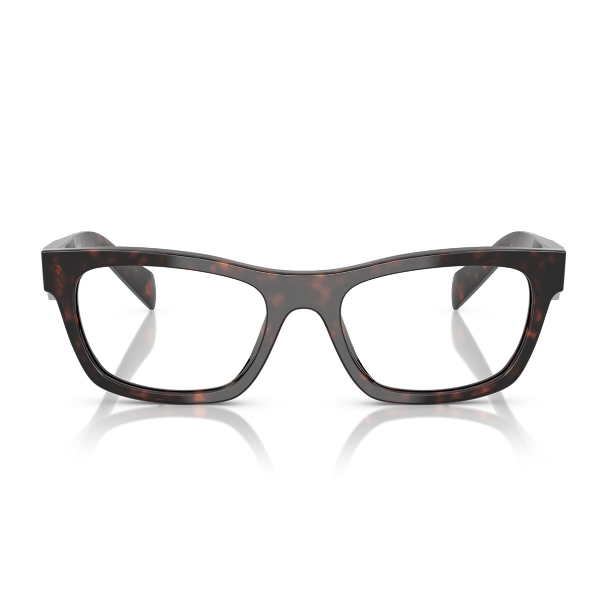 Prada Pr B01v 17n1o1 Root Tartarugato Glasses