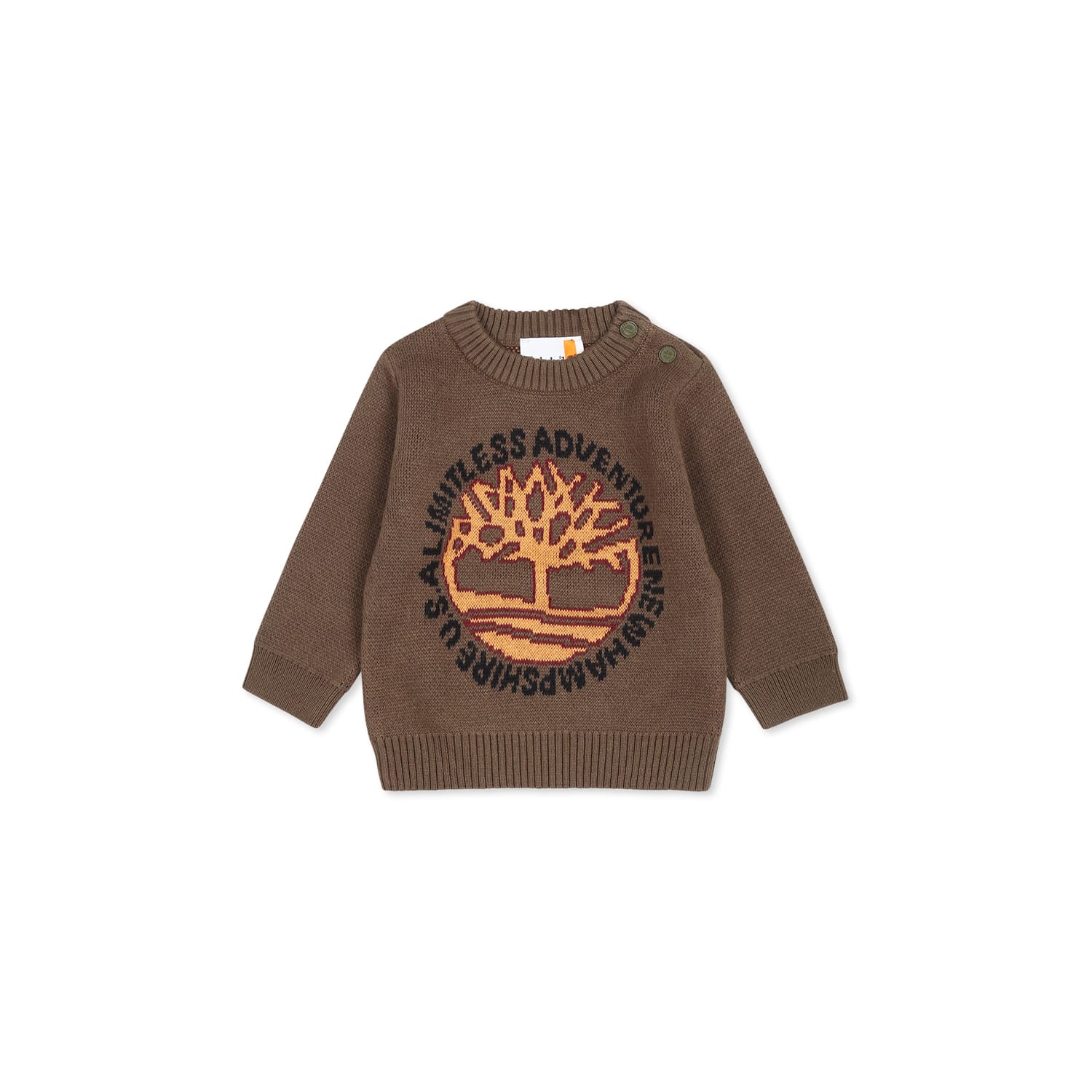 Timberland Green Sweater For Baby Boy With Logo In Green