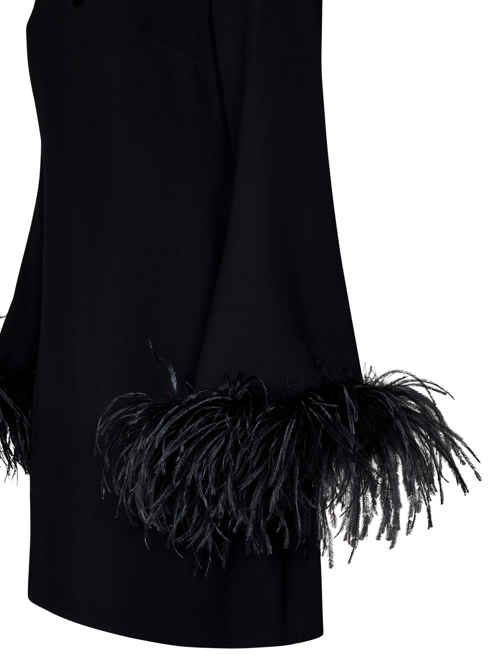 P.a.r.o.s.h Parosh Feather Trim Mini Dress With Elegant Silhouette And Keyhole Detail In Black