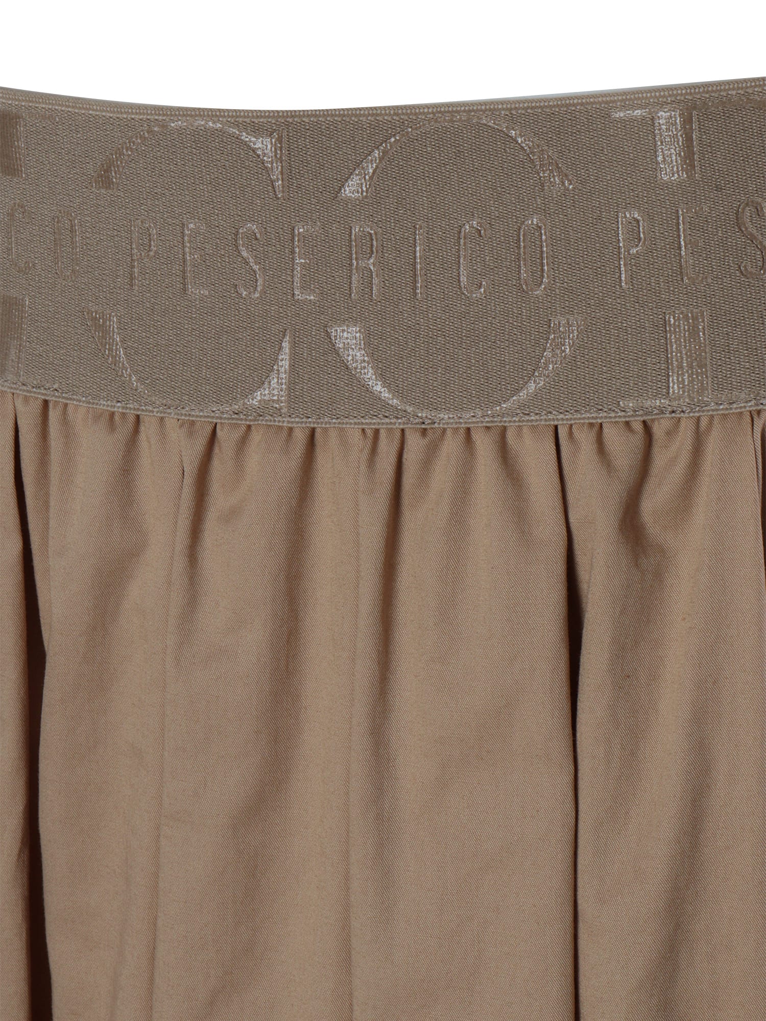 Shop Peserico Brown Midi Skirt In Multicolor