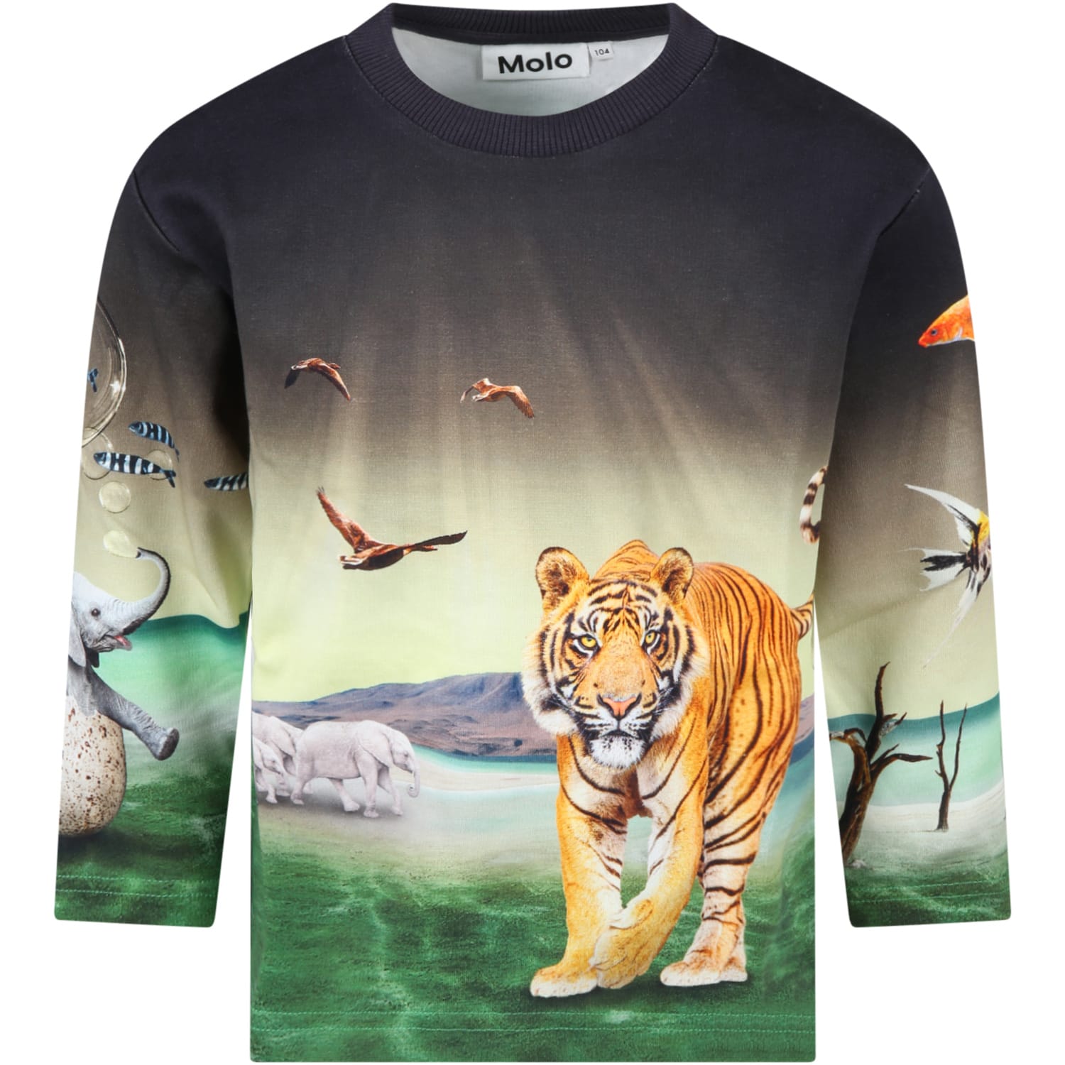 Molo Multicolor Sweatshirt For Boy With Tiger