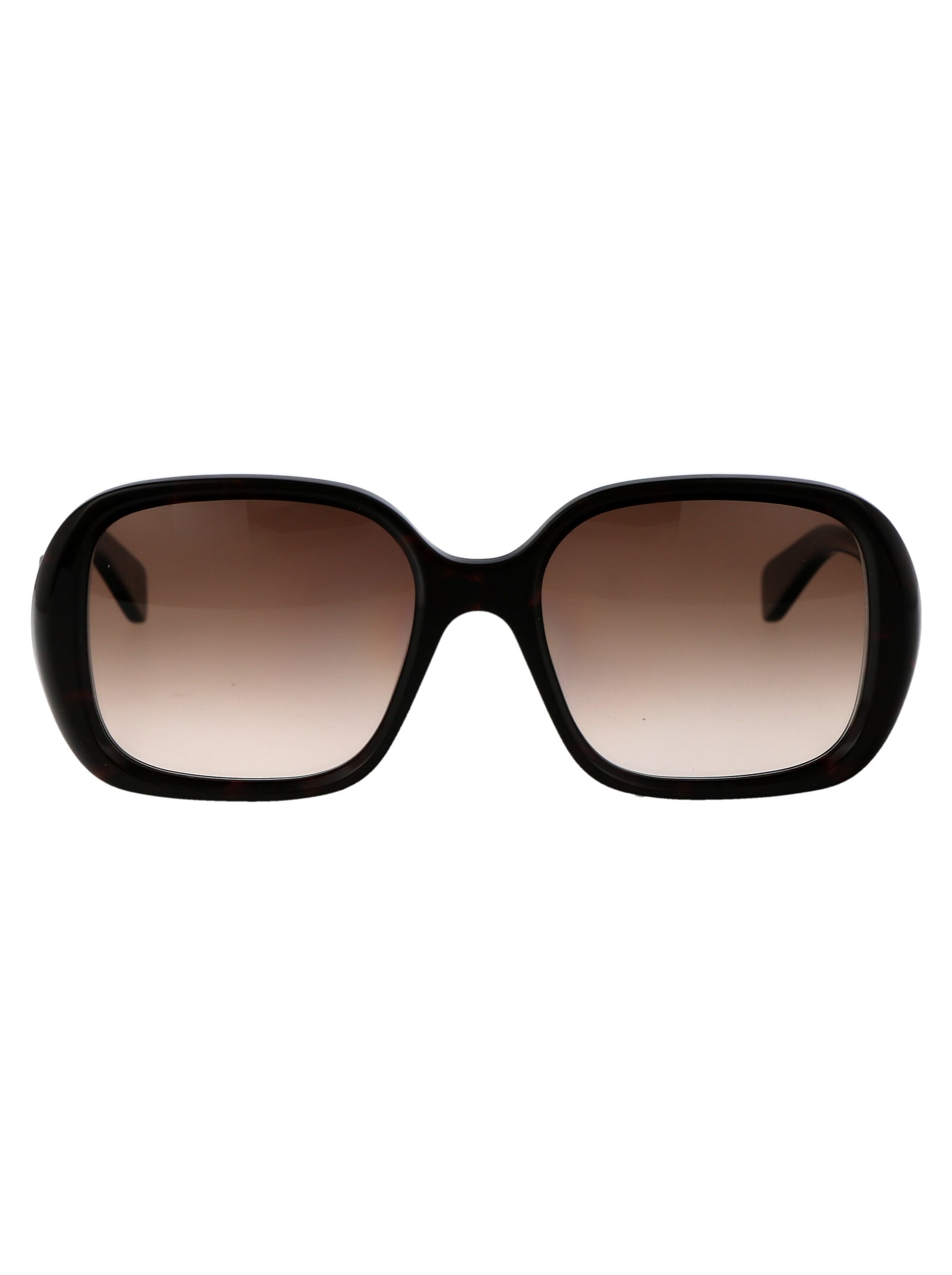 Chloé Ch0222s Sunglasses In Black