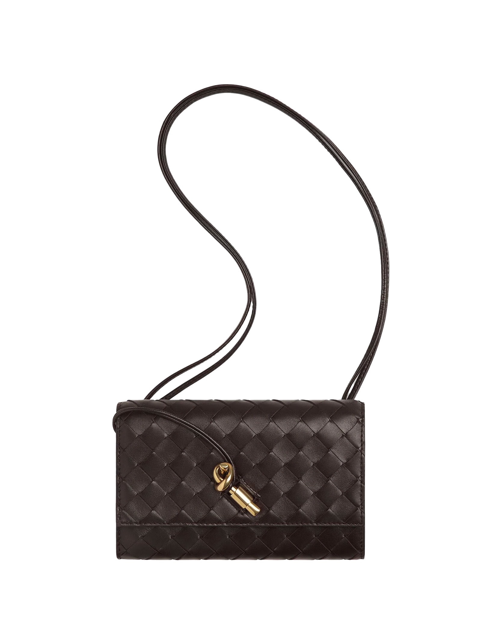 Bottega Veneta Bags.. In Brown