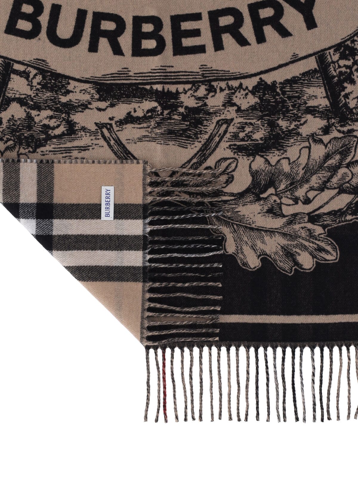 Burberry Reversible Cashmere Scarf In Brown