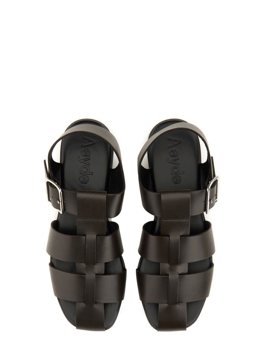 Aeyde Strappy Open Toe Flat Sole Sandals In Dark Brown