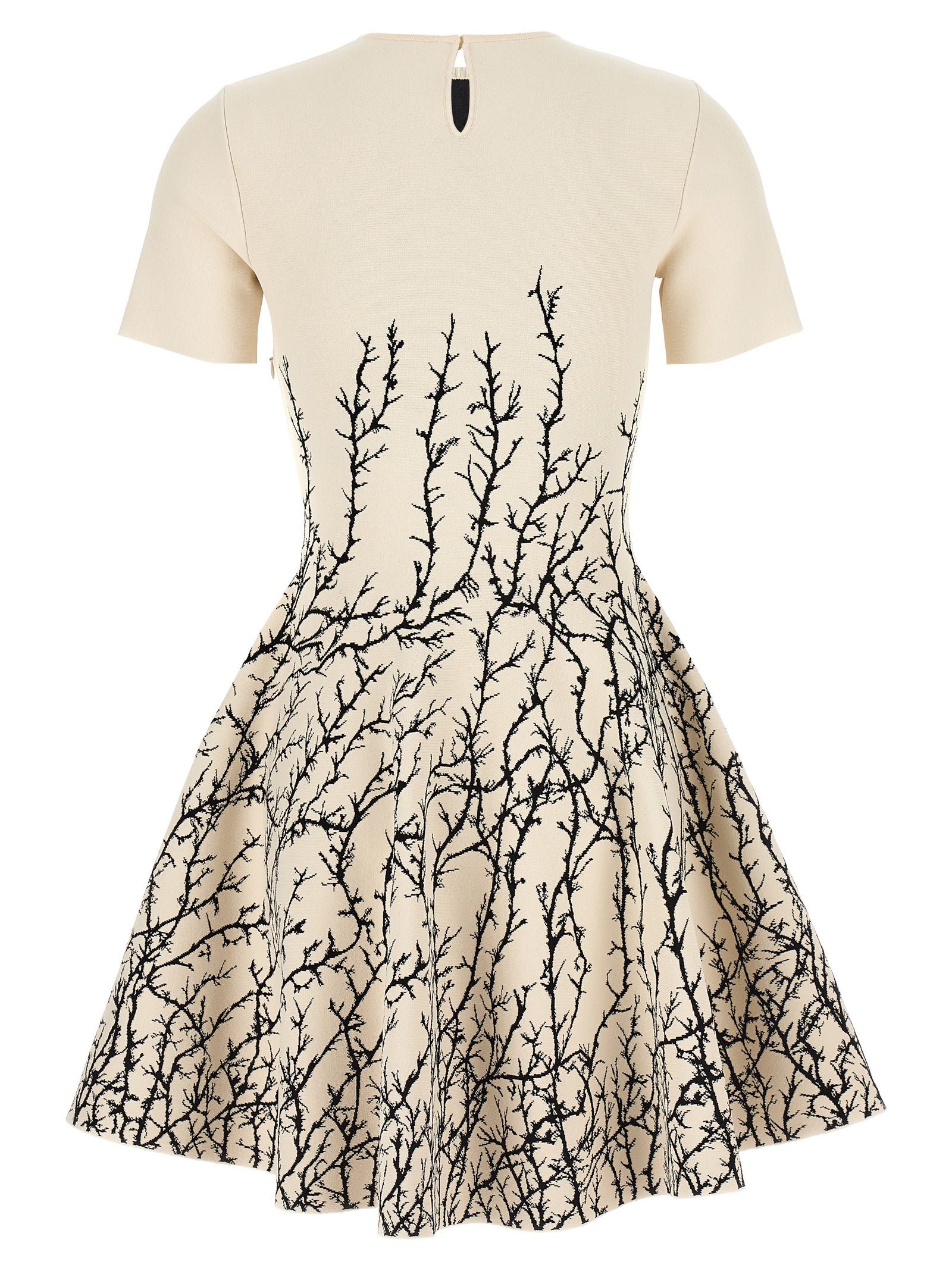 Shop Alexander Mcqueen Thorn Dress In Ivory